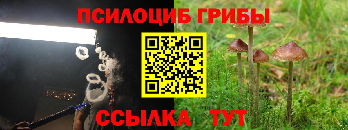 Ангарск  Галлюциногенные грибы MAGIC MUSHROOMS  Вход с VPN 